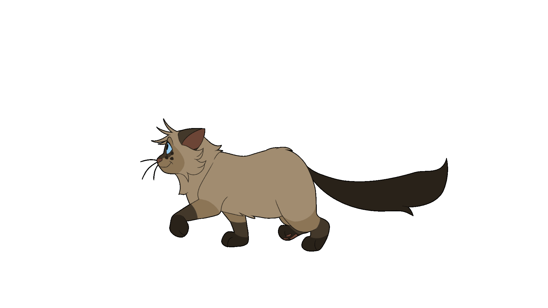 Colored 12 FPS cycle